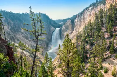 Lower Falls of the Yellowstone River from Artist Point with rainbow in canyon framed by pine trees
