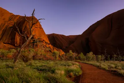Walking trail towards Mutitjulu Waterhole at the base of Uluru, with red sandstone cliffs and eucalyptus trees in pre-dawn light.