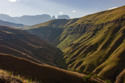 Rolling green valleys in the Central Drakensberg with Monk's Cowl and Champagne Castle visible on the distant skyline in KwaZulu-Natal, South Africa.