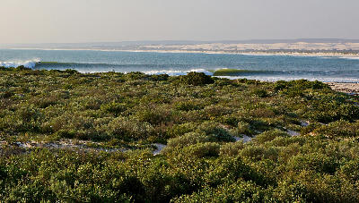 Rolling surf waves at Elands Bay with coastal fynbos in the foreground and sandy dunes stretching along the Atlantic shoreline in the distance.