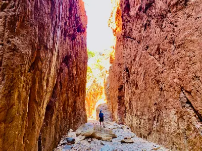Hiker walks between the towering red-orange rock walls of Standley Chasm in the West MacDonnell Ranges.