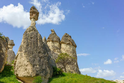 Tall mushroom-shaped fairy chimneys with dark basalt caps at Paşabağ Fairy Chimneys in Cappadocia, Turkey, standing above a grassy hillside beneath a blue sky.