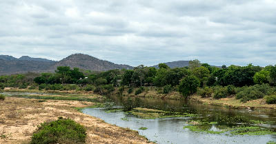 View of the Crocodile River along the southern boundary of Kruger National Park, with sandbanks, river vegetation and bush-covered hills in the background.