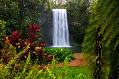 Millaa Millaa Falls surrounded by tree ferns and colourful tropical vegetation on the Atherton Tablelands, Queensland.