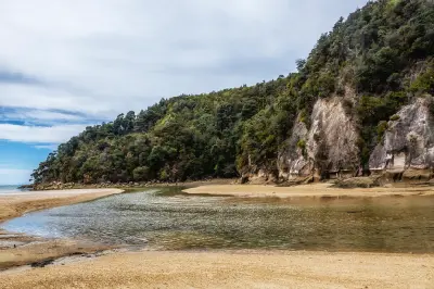 Tidal channel and forested cliffs at low tide in Torrent Bay, Abel Tasman National Park, New Zealand.