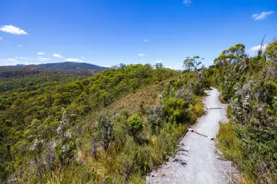 Donaghys Hill walking track through native vegetation in western Tasmania.
