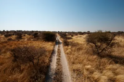 Narrow sandy safari track crossing the grasslands near Deception Valley in the Central Kalahari Game Reserve, Botswana.