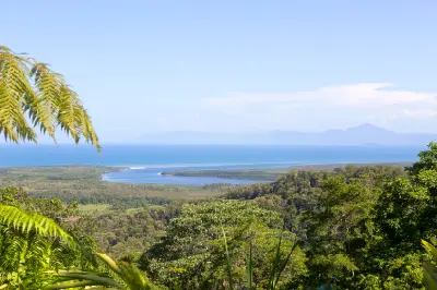 Large green fern fronds in the foreground frame an elevated view of a dense tropical rainforest landscape, looking out towards a calm river estuary flowing directly into a bright blue ocean coastline under a clear sky.