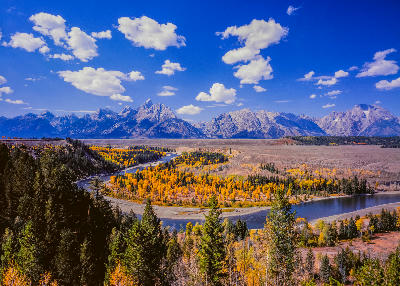 Snake River winding through yellow autumn trees with the Teton Range in the background, viewed from Snake River Overlook, Grand Teton National Park, Wyoming.