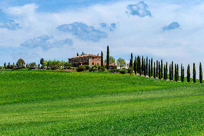 Farmhouse Poggio Covili with a line of cypress trees in the rolling countryside near Montalcino, Tuscany.