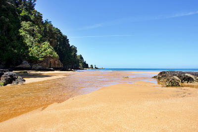 Low tide patterns on the golden sands of Tōtaranui Beach in Abel Tasman National Park, New Zealand.