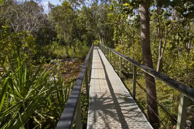 Narrow elevated metal walkway with handrails extending through dense tropical woodland along the Wangi Falls walking track in Litchfield National Park, Northern Territory, Australia.