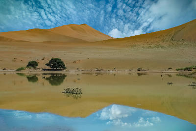 Shallow reflective water beneath golden Namib Desert dunes under textured blue clouds in Namibia.