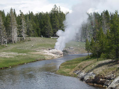 Riverside Geyser steaming beside Firehole River Yellowstone
