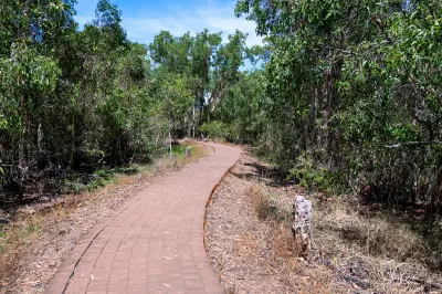 Curving paved walking path surrounded by eucalyptus woodland on the approach to Mamukala Wetlands in Kakadu National Park, Northern Territory.