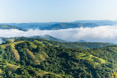 Low cloud and morning mist drifting through the green valleys and forested hills of the Valley of a Thousand Hills in KwaZulu-Natal, South Africa.