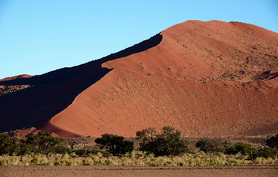 Large orange-red Namib Desert dune with deep shadow face rising above dry vegetation in Namibia.