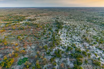 Aerial view of Chief's Island in the Okavango Delta, Botswana.