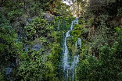 Lower-flow view of Erskine Falls cascading over mossy rock surrounded by dense forest near Lorne, Victoria.