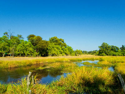 River channel meandering through wetlands in the Okavango Delta, Botswana.