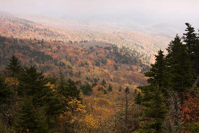 Layered autumn forest and evergreen ridges viewed from Grandfather Mountain in North Carolina under soft atmospheric haze.