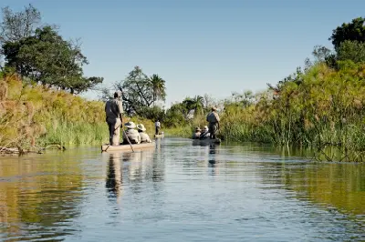Mokoro canoes travelling through papyrus-lined channels at Xakanaxa in the Okavango Delta, Botswana.