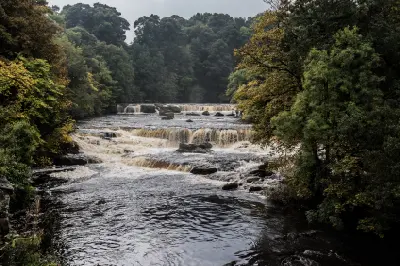 Wide view of multiple limestone waterfalls along the River Ure surrounded by autumn woodland at Aysgarth Falls in North Yorkshire.