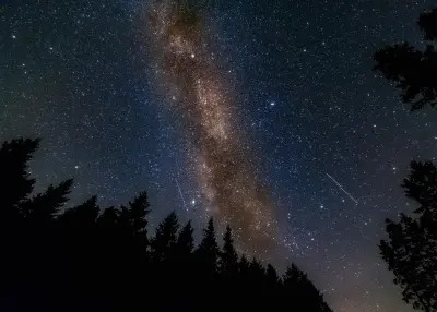 Milky Way stretching vertically across a star-filled night sky above silhouetted conifer trees in Kielder Forest, Northumberland.