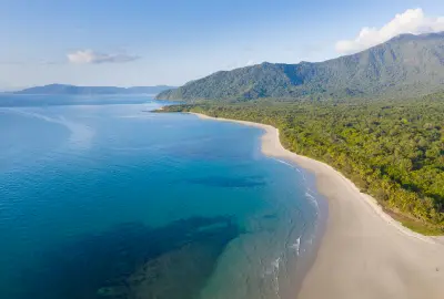 An aerial view displays the lush green canopy of the Daintree Rainforest running directly down to the sweeping white sands of Myall Beach next to clear, turquoise ocean water.