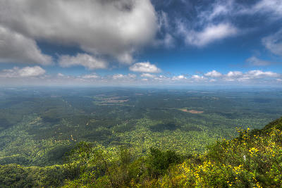 Panoramic view from Wonder View across the Lowveld and escarpment landscapes of Mpumalanga, South Africa.