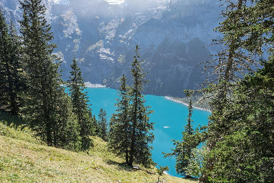 Oeschinen Lake seen through alpine trees from a hillside above, with turquoise water and steep rock walls in Switzerland