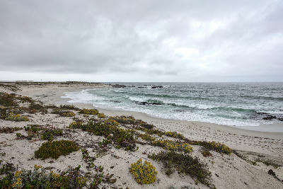 Sand dunes and coastal vegetation overlooking Sixteen Mile Beach, with Atlantic surf breaking along a remote shoreline near Yzerfontein.