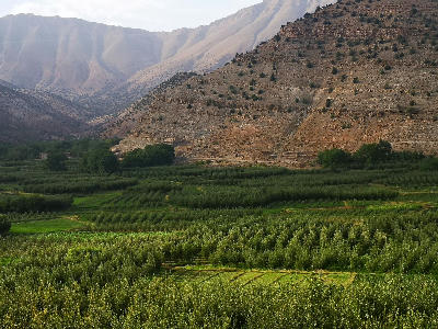Green agricultural fields and High Atlas mountain slopes in Aït Bouguemez Valley, Morocco
