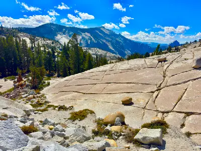 Smooth granite slabs and forest overlooking Tenaya Canyon with distant Half Dome from Olmsted Point in Yosemite National Park.