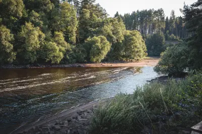 Quiet wooded shoreline at Kielder Water near Mathews Lin, Northumberland, with rippling water, sunlit trees and dense vegetation.