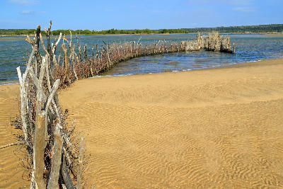 Traditional Tsonga fish trap on a sandy shoreline in the Kosi Bay lake system, KwaZulu-Natal, South Africa.