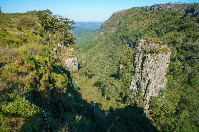 Pinnacle Rock quartzite pillar rising from a forested gorge on the Panorama Route near Graskop, Mpumalanga, South Africa.