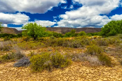Klein Karoo semi-desert landscape with xerophytic shrubs, dry soils and scattered trees beneath dramatic clouds near Route 62, Western Cape, South Africa.