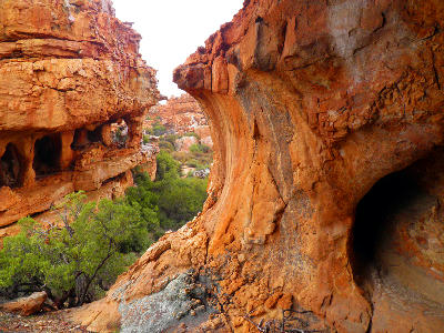 Weathered sandstone caves and rock shelters at Stadsaal in the Cederberg Wilderness Area, Western Cape, South Africa.