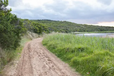 Sandy walking and 4WD track beside reeds and the Aire River in Great Otway National Park, Victoria.