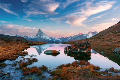 Matterhorn reflected in Stellisee at sunset with alpine grasses and rocks in the foreground, Switzerland.