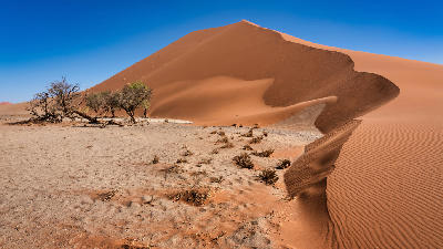 Towering red sand dune with sharp wind-sculpted ridges and sparse desert vegetation at Dune 45 in the Namib Desert, Namibia, under a clear blue sky.
