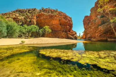 Green waterhole with visible aquatic plants flowing past a sandy bank and towering red-orange cliffs under a bright blue sky.