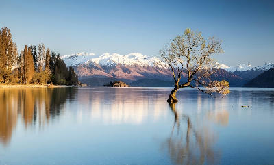 Lake Wanaka with the Wanaka Tree, New Zealand