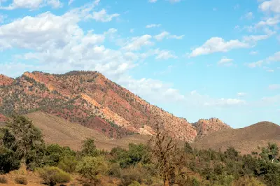 Layered red and cream rock hillside above native woodland in Brachina Gorge, Flinders Ranges, South Australia.