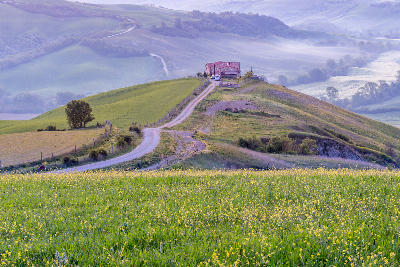 Farmhouse and winding country road at Podere Terrapille in the rolling hills of Val d’Orcia, Tuscany, Italy.