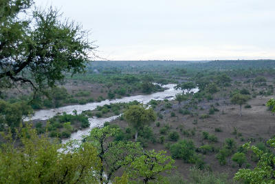 Elevated view of the Limpopo River winding through the bushveld of Botswana’s Tuli Block near the borders with South Africa and Zimbabwe.
