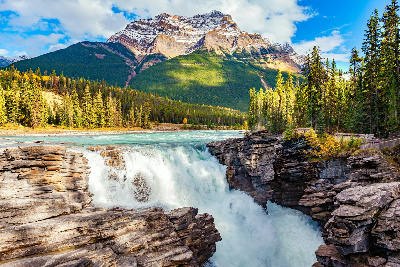Athabasca Falls plunging through a rocky canyon with forest and mountain backdrop in Jasper National Park, Alberta, Canada