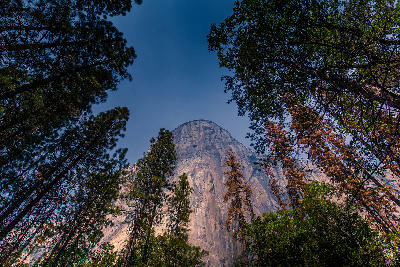 El Capitan Yosemite framed by trees from below showing steep granite face against blue sky.
