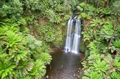 Elevated view of Beauchamp Falls cascading into a forest pool surrounded by dense tree ferns near Beech Forest, Victoria.